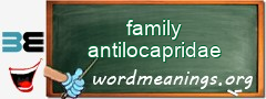 WordMeaning blackboard for family antilocapridae